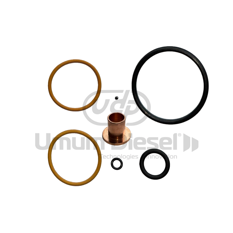 Cummins XPI / ISX O-Ring Repair Kit (With Ball)